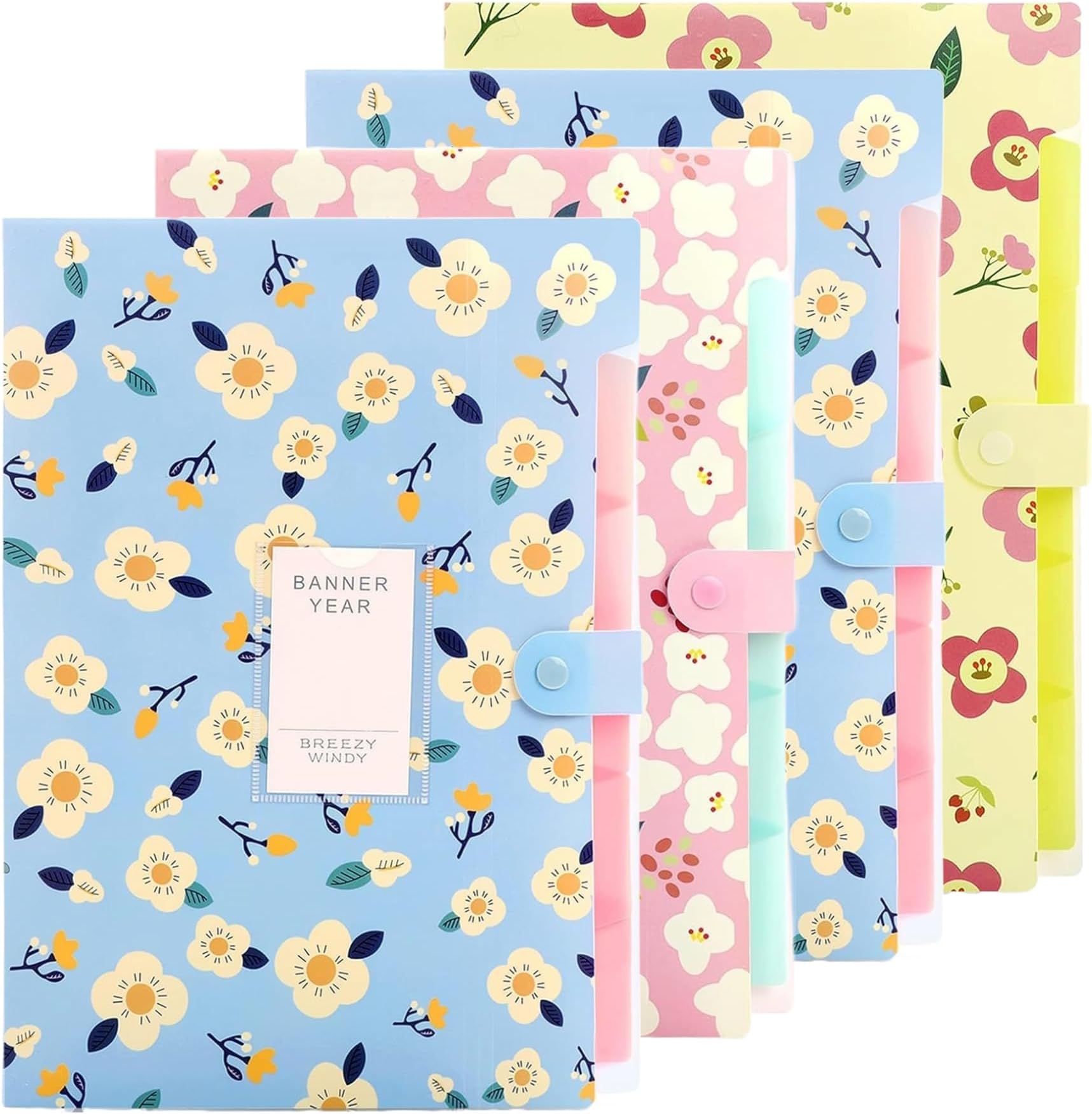 Corslet Folder for Documents A4 Size 5 Pockets Files for Students for School and Office (Pack of 4)