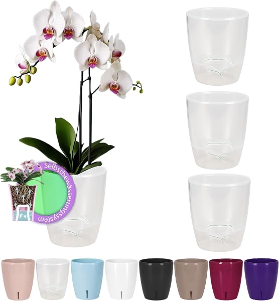 Santino ORCHIDEA Lot de 4 Pots à Orchidée avec Système de Mèche et Indicateur de Niveau d'eau (Diamètre: 15 cm, 2 L, Transparent) - 1