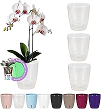 Santino ORCHIDEA Set of 4 Orchid Pots with Wick System and Water Level Indicator (Diameter: 15 cm, 2 L, Transparent)