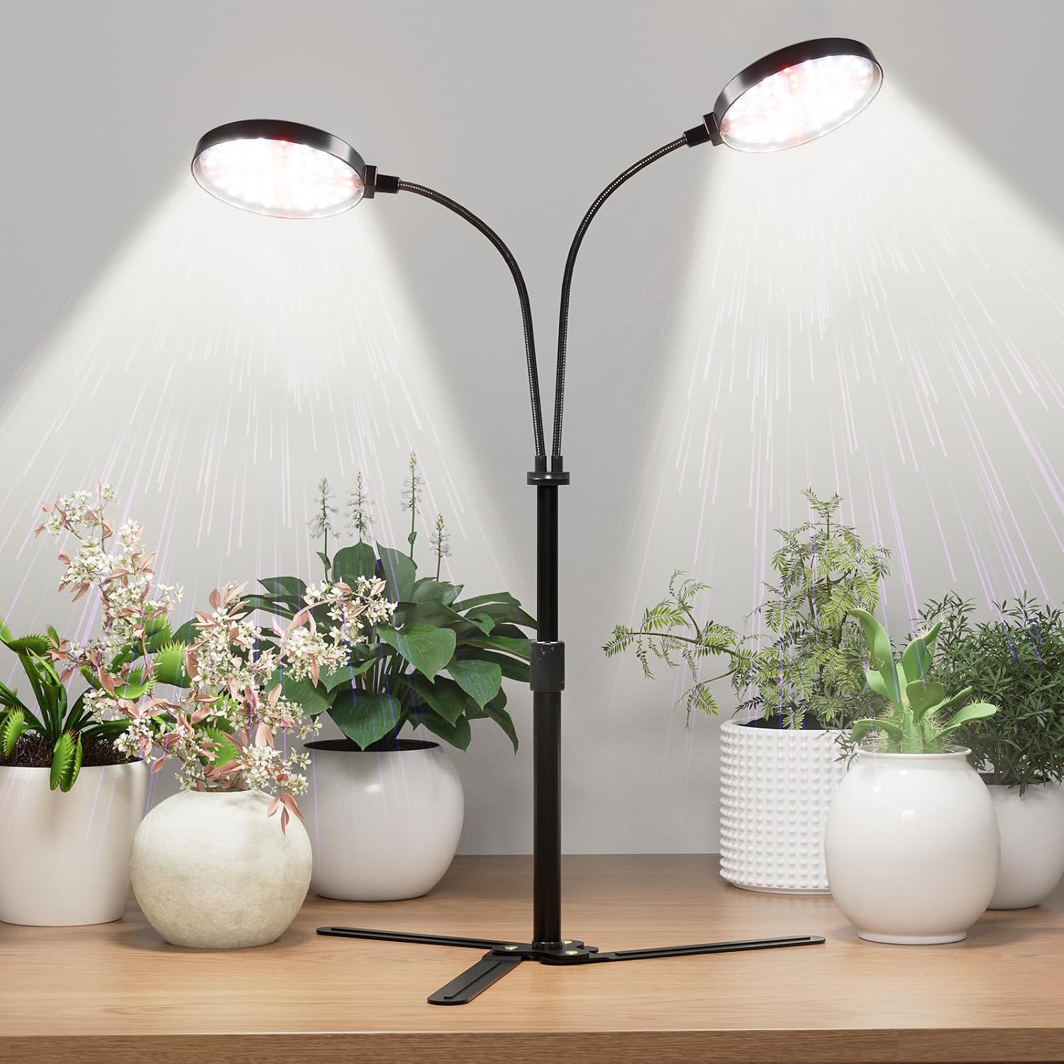 Grow Lights for Indoor Plant