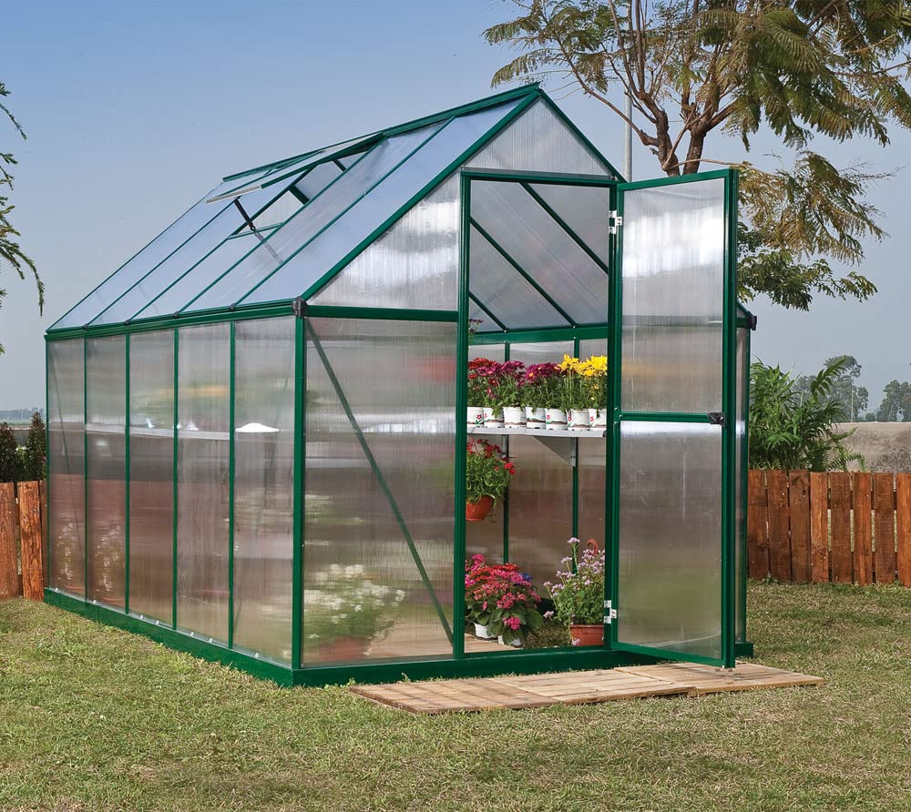 Canopia by Palram Gewächshaus klein Mythos 6x10 Treibhaus 306x185 cm Aluminium Grün Tomatenhaus Polycarbonatplatten UV-beständig