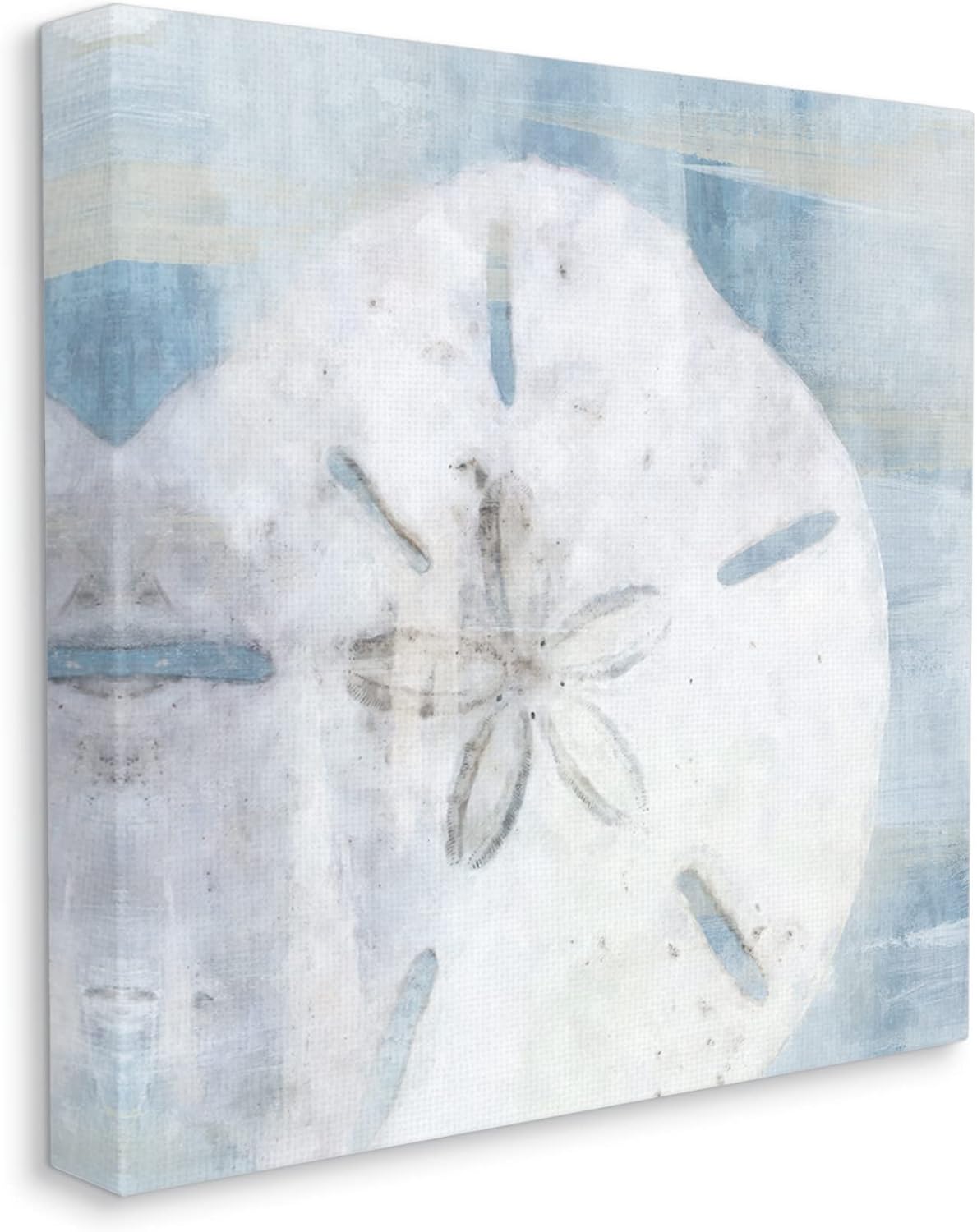 Stupell Industries 'Pastel Blue Sand Dollar Seashell', Canvas Art, 17 x 17 Inches, Easy to Hang and Sturdy, Made in USA, by Nina Blue