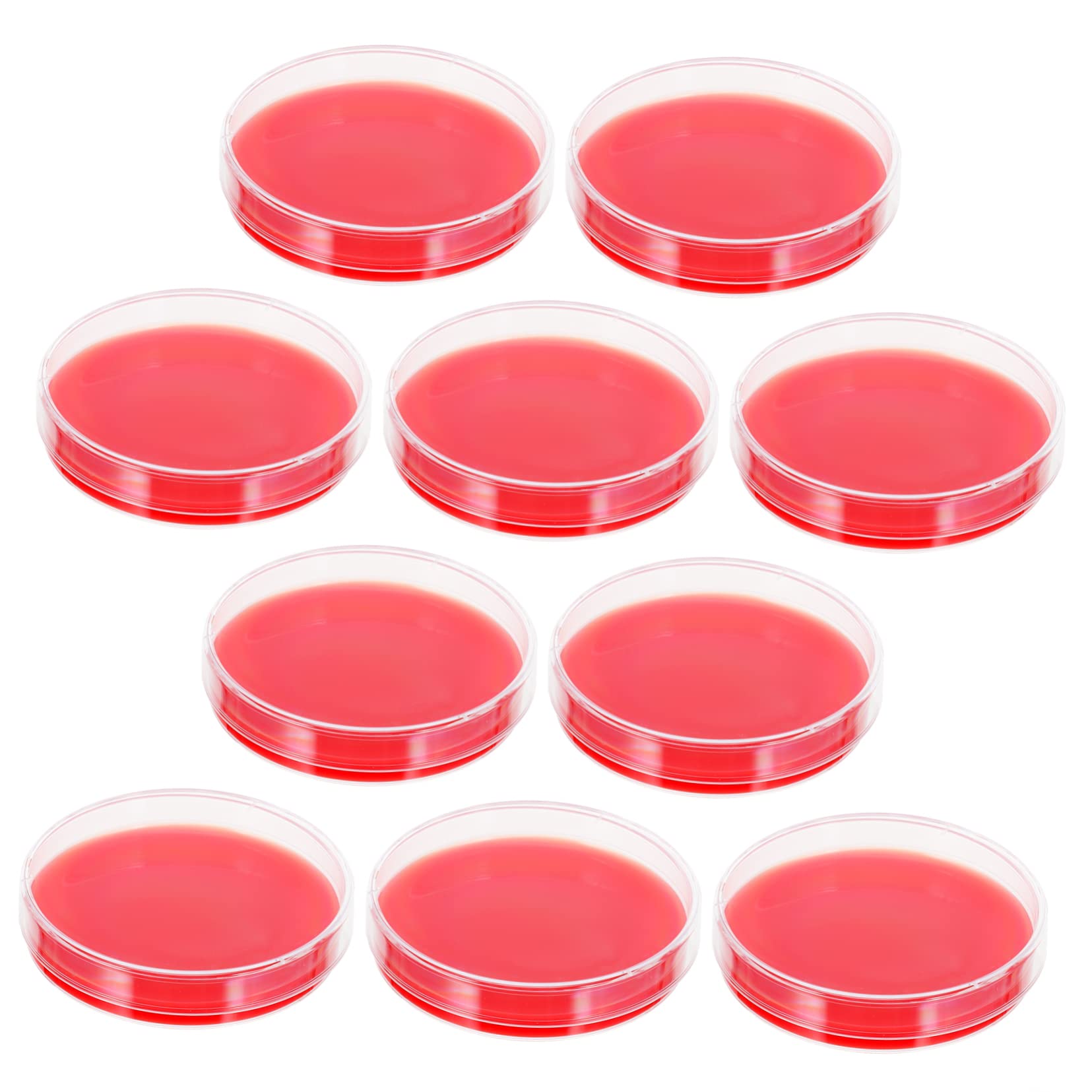 ULTECHNOVO 20pièces Plaques De Pétri Agar De Milieu De Culture Pour Laboratoire Résistantes Aux Chocs Et Faciles à Utiliser Idéales Pour Institutions Médicales Et Scientifiques