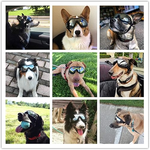 Miniatura 8 de Gafas de sol para perros medianos o grandes, anti-UV, impermeables, resistentes al viento, para perros largos (plateado)