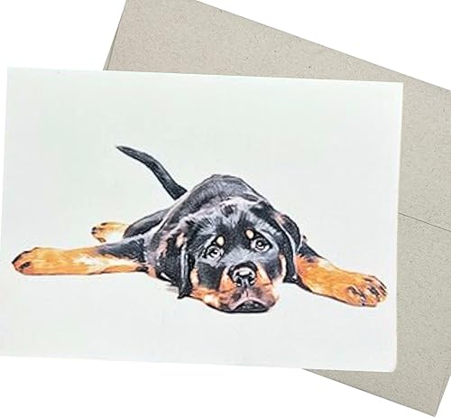 Rottweiler - Tarjeta de felicitación con sobre (7 x 5 pulgadas y interior en blanco para todas las ocasiones) para cumpleaños, mensajes de