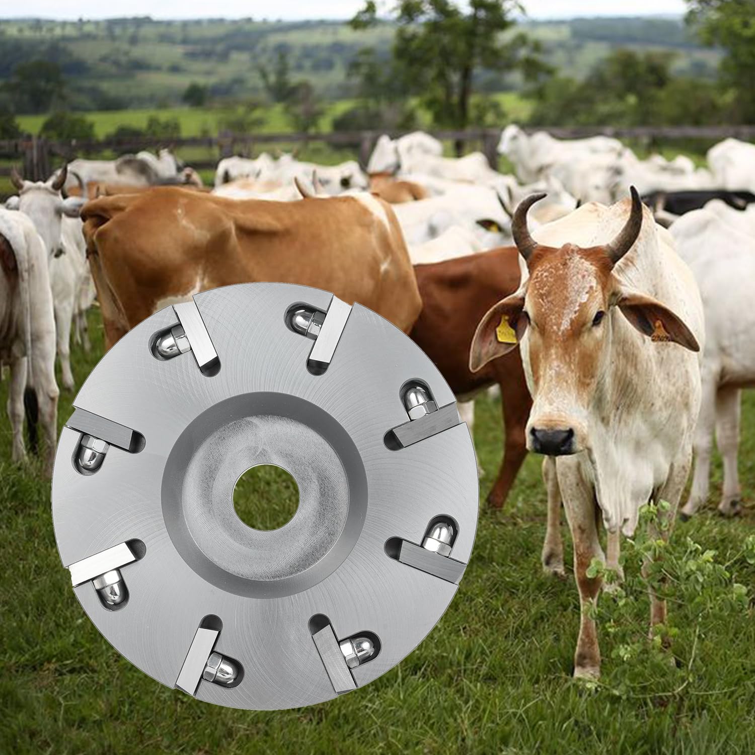Disco de Recorte de Pezuñas para Ganado, Herramienta Cuchillo Eléctrico Metal Resistente con 8 Cuchillas para Amoladora Angular el Cuidado las Pezuñas Ganado Equino