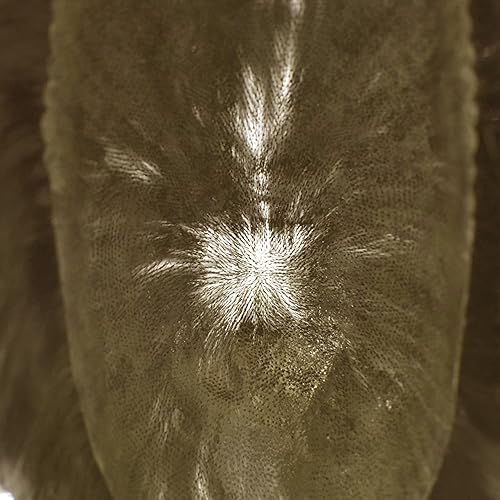 Miniatura 4 de Sistema de cabello para hombres Toupee Cabello Humano Piezas Poli Piel Toupee para Hombres Hairpiece All PU inyectado 8X10 Inch Mens Toupee Protesis