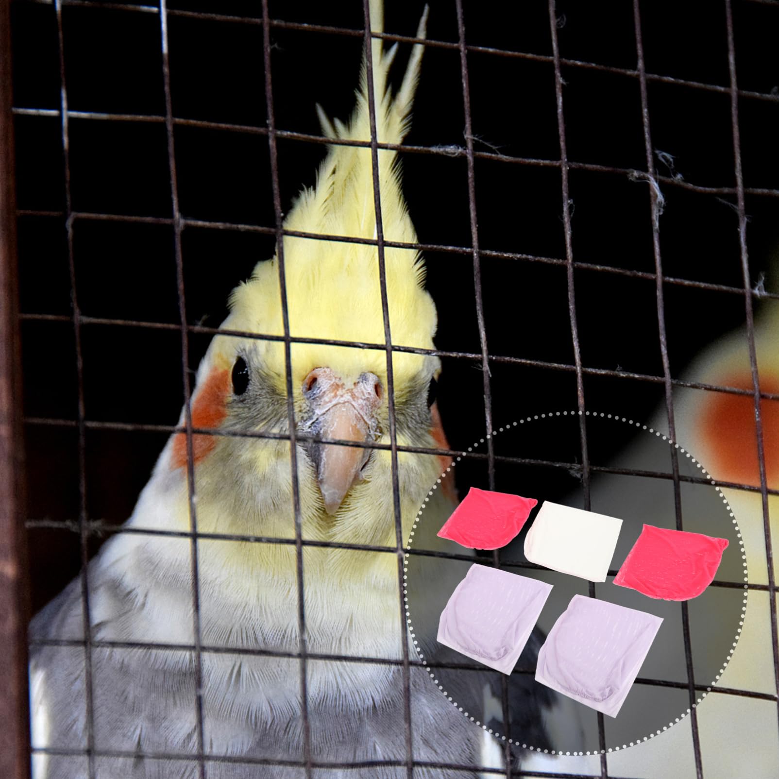 BESPORTBLE 5pcs Parrot Mesh Bag Cage for Parrots and Parakeets Living Animals Packing Bag Random Color