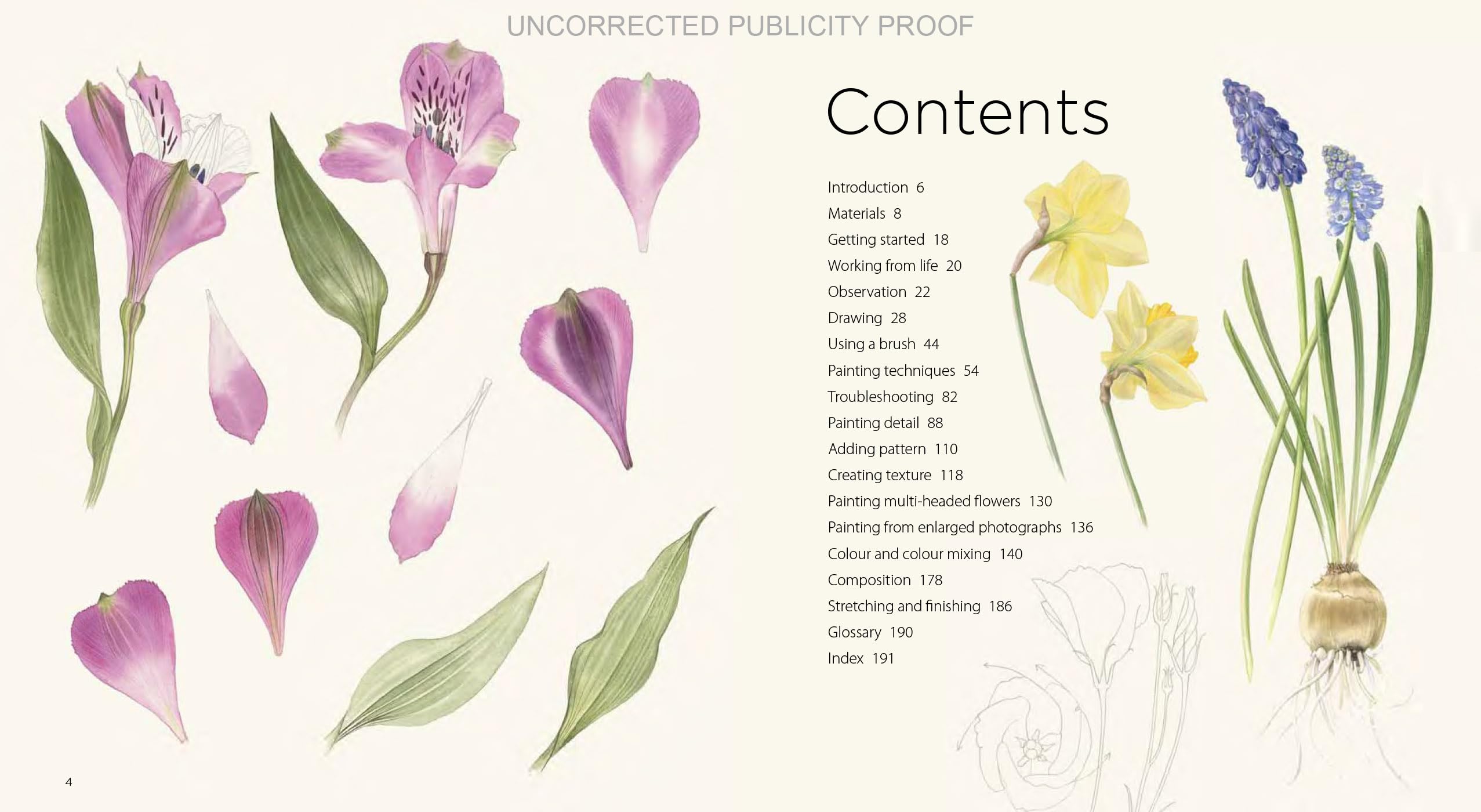 Billy Showell Botanical Painting Watercolour