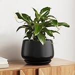 LE TAUCI Planteurs de céramique, 12 Pots de pouce pour les plantes, pots de plante intérieure avec trous de drainage et des soucoupes, Planters modernes Fit Mid Century Plant Stand, Pots à fleurs pour les végétaux intérieurs, Réactive Glaze Beige