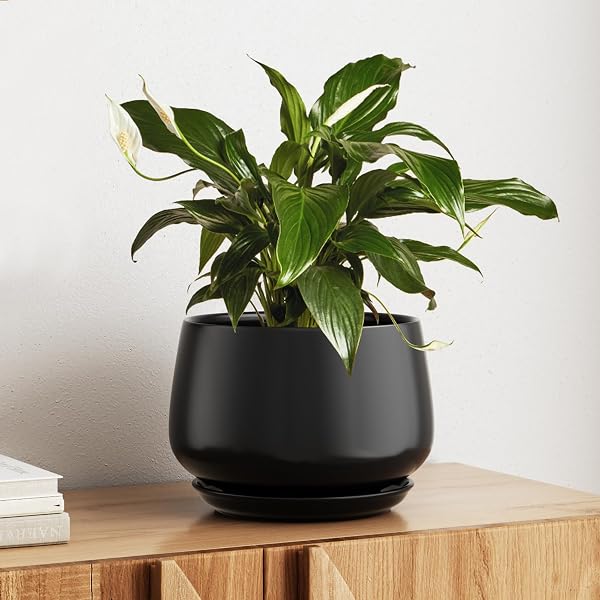 LE TAUCI Ceramic Planters, Pots for Plants, Indoor Plant Pots with Drainage Holes and Saucers, Modern Planters Fit Mid C
