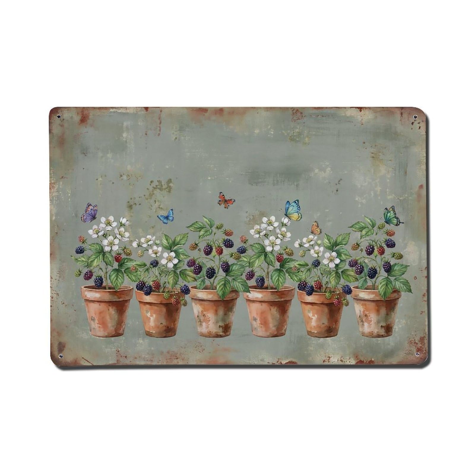 Vintage Rustic Flower Potted Plants Blackberry Metal Tin Sign