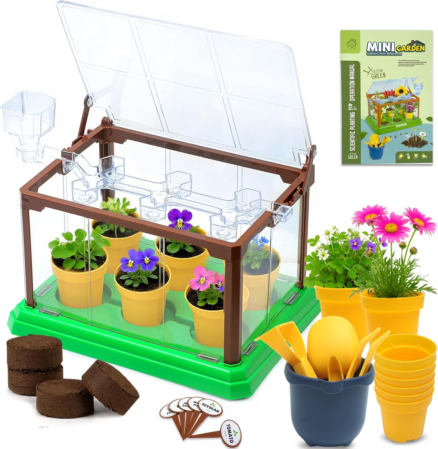 Kids Plant Growing Kit, Mini Garden Greenhouse Plant Starter Kit, Flower Growing Kit & Terrarium Kit for Kids