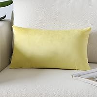 Vista 62 de Artscope Fundas de Almohada de Terciopelo de Lujo Fundas de Almohadas Cuadradas Decorativas Fundas de Cojines Suaves Sólidas para Sofá de Sala Sofá