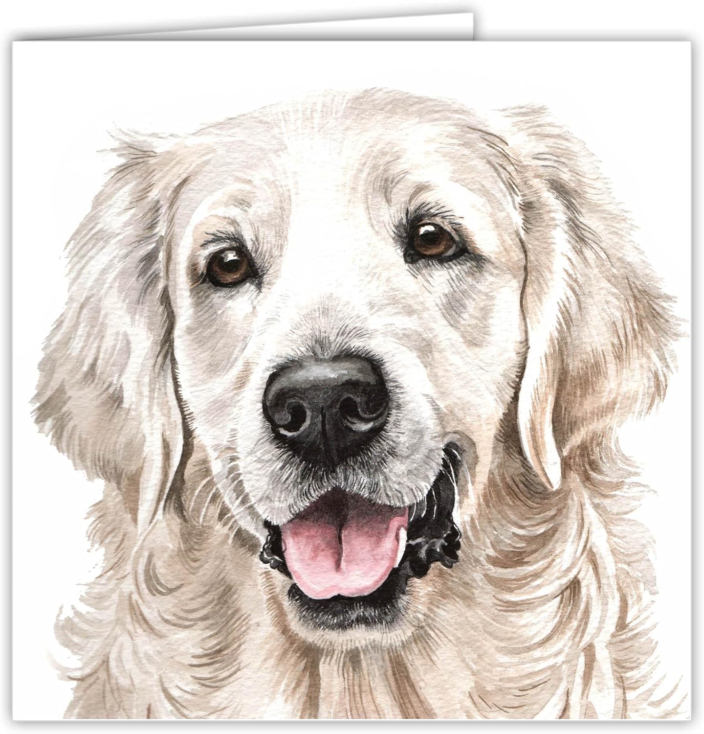 Maturi Golden Retriever Dog Photographic Blank Birthday Greetings Card, 6” x 6” Square