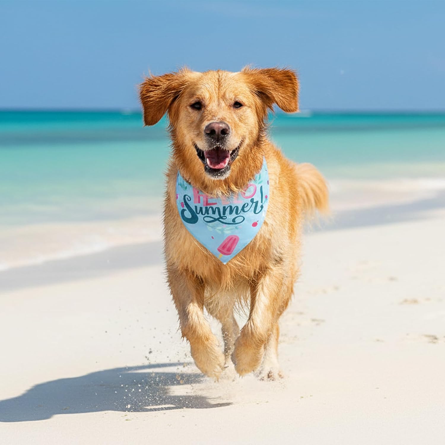 Summer Dog Bandana, Double-Sided Hello Summer Scarf for Large Dogs image 2