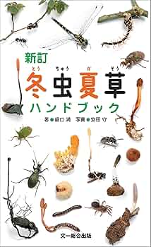 71B3L8MwacL._AC_UF350,