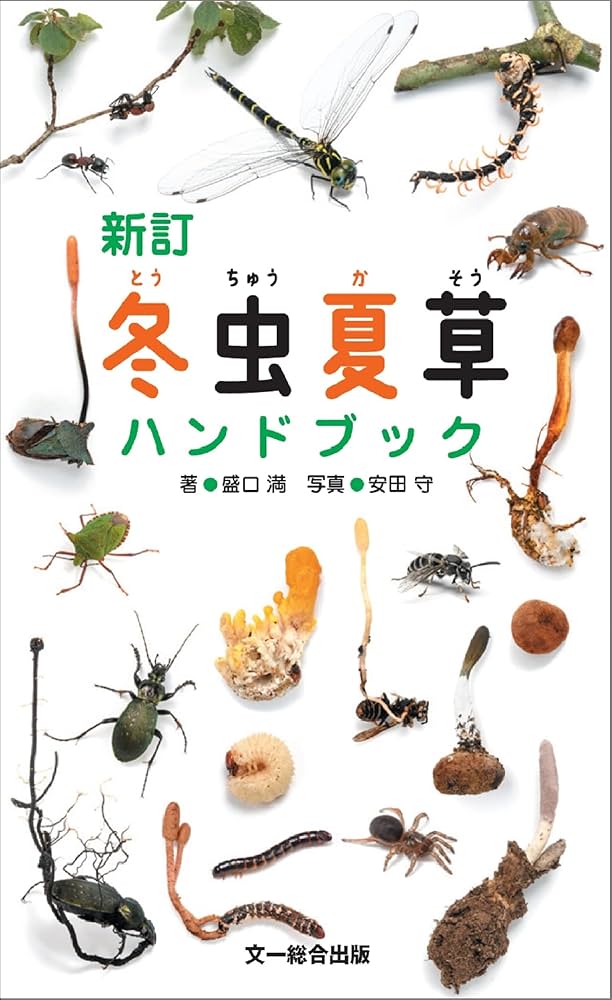 冬虫夏草図鑑 カラー版 冬虫夏草図鑑―カラー版（清水 大典）』 投票ページ | 復刊ドットコム
