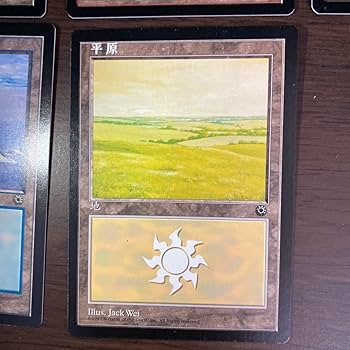 Amazon.co.jp: MTG 簡体字 POR 絵違い 土地 5種セット 中国語版