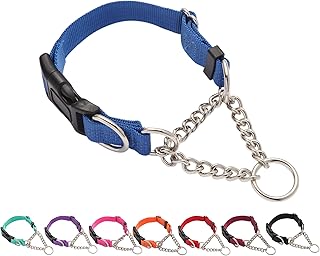 Martingale Dog Collar with Quick Release Buckle Steel Chain No Pull Training Reflective Collar