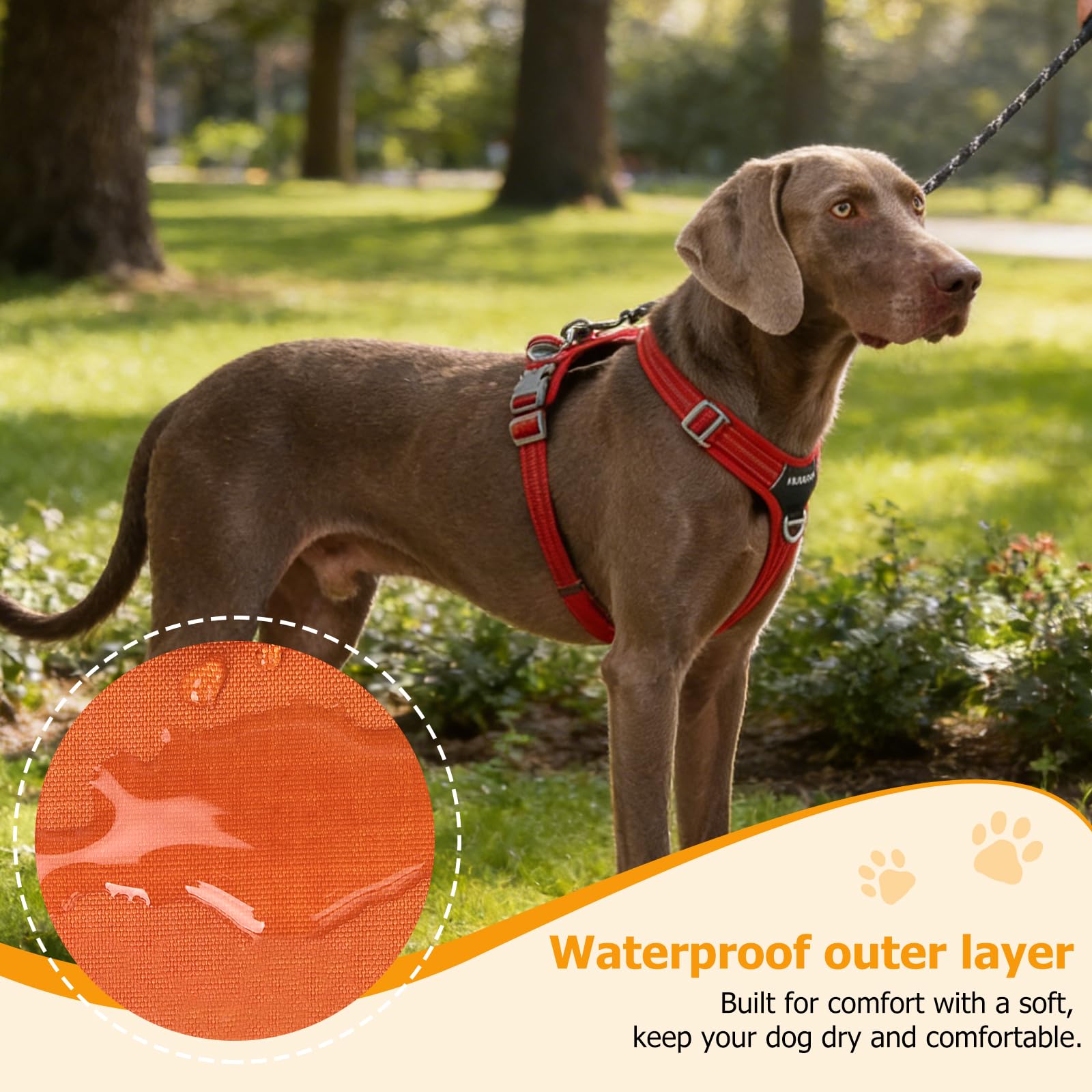 Juego de arnés y correa reflectante para perro, sin tirones, arnés de chaleco impermeable para mascotas con correa de 8.2ft / 2,5 m, gancho frontal y trasero de doble clip resistente, asa de