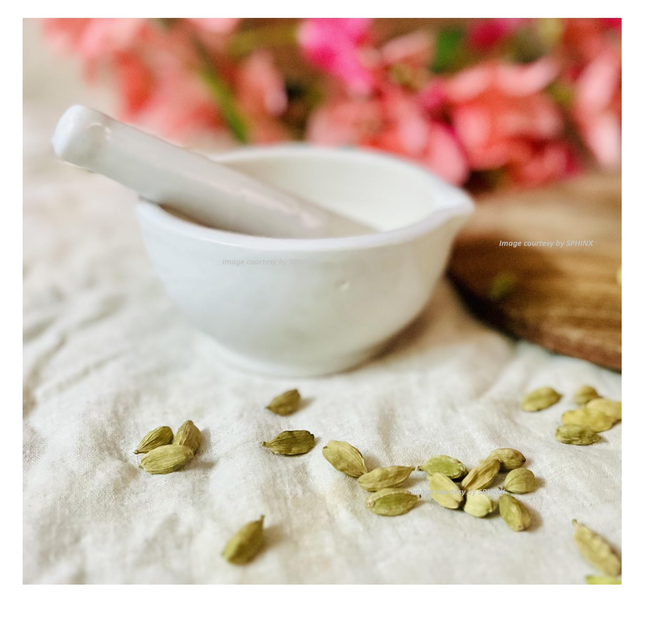 SPHINX® Ceramic Pestle & Mortar/Imam Dasta for grinding minute items-1 Piece (KINDLY CHECK PRODUCT SIZE AND DETAILS CAREFULLY)- Small- Height x width - 5 x10 cms
