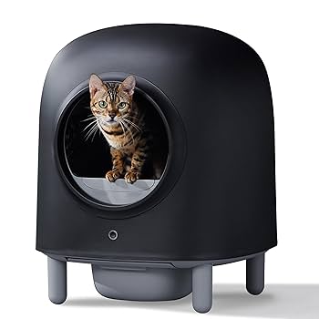 猫トイレ　自動　全自動　消臭　猫　ネコ　ネコ自動トイレ Amazon | Pandaloli 猫 自動トイレ 猫 トイレ 自動: 全自動 ねこ