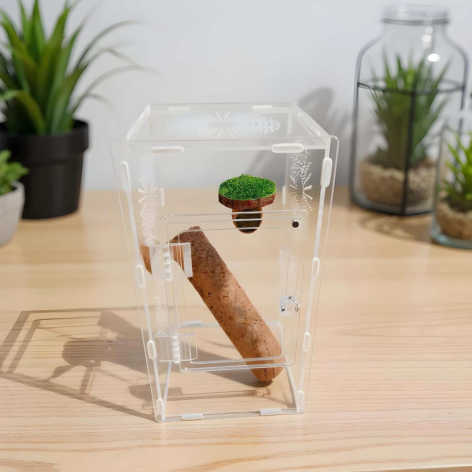 Clear Terrarium - Spider Mantis Frog Habitat Enclosure, Full Transparency Observation Tank with Feeding Access for Kids Adults Teens Family Care | Durable Pet Housing Box Educational Display