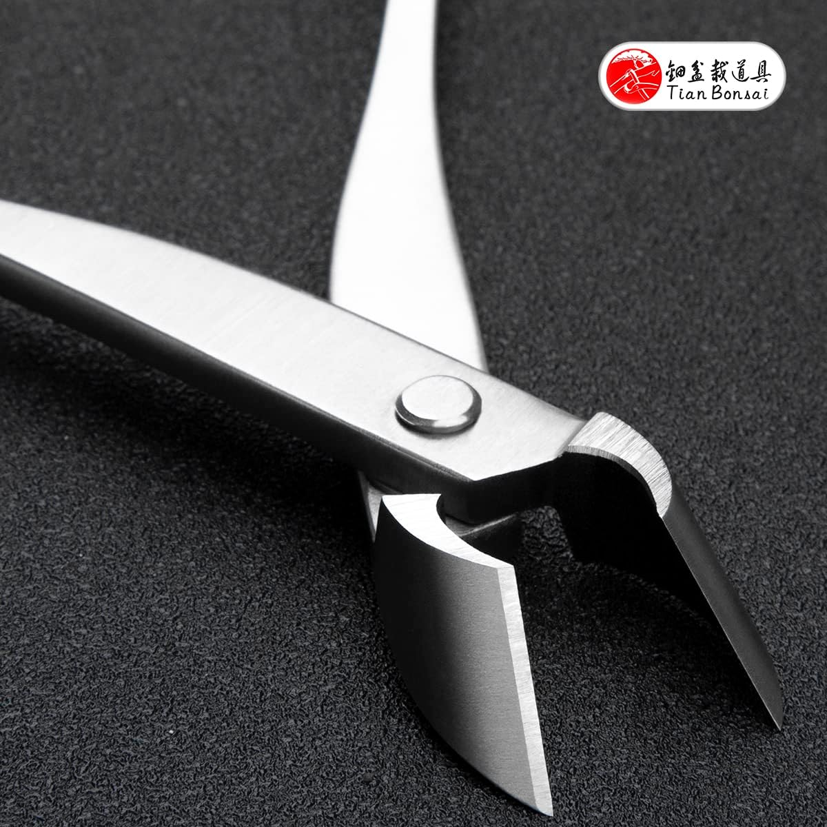 Straight Narrow Edge Cutter Professional Grade Branch Cutter Alloy Steel Bonsai Tools Equip With Tool Bag (MT-SE-185N Designed For Small Size Bonsai Trees)