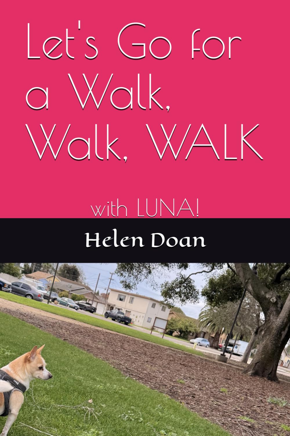 Let's Go for a Walk, Walk, WALK: with LUNA!