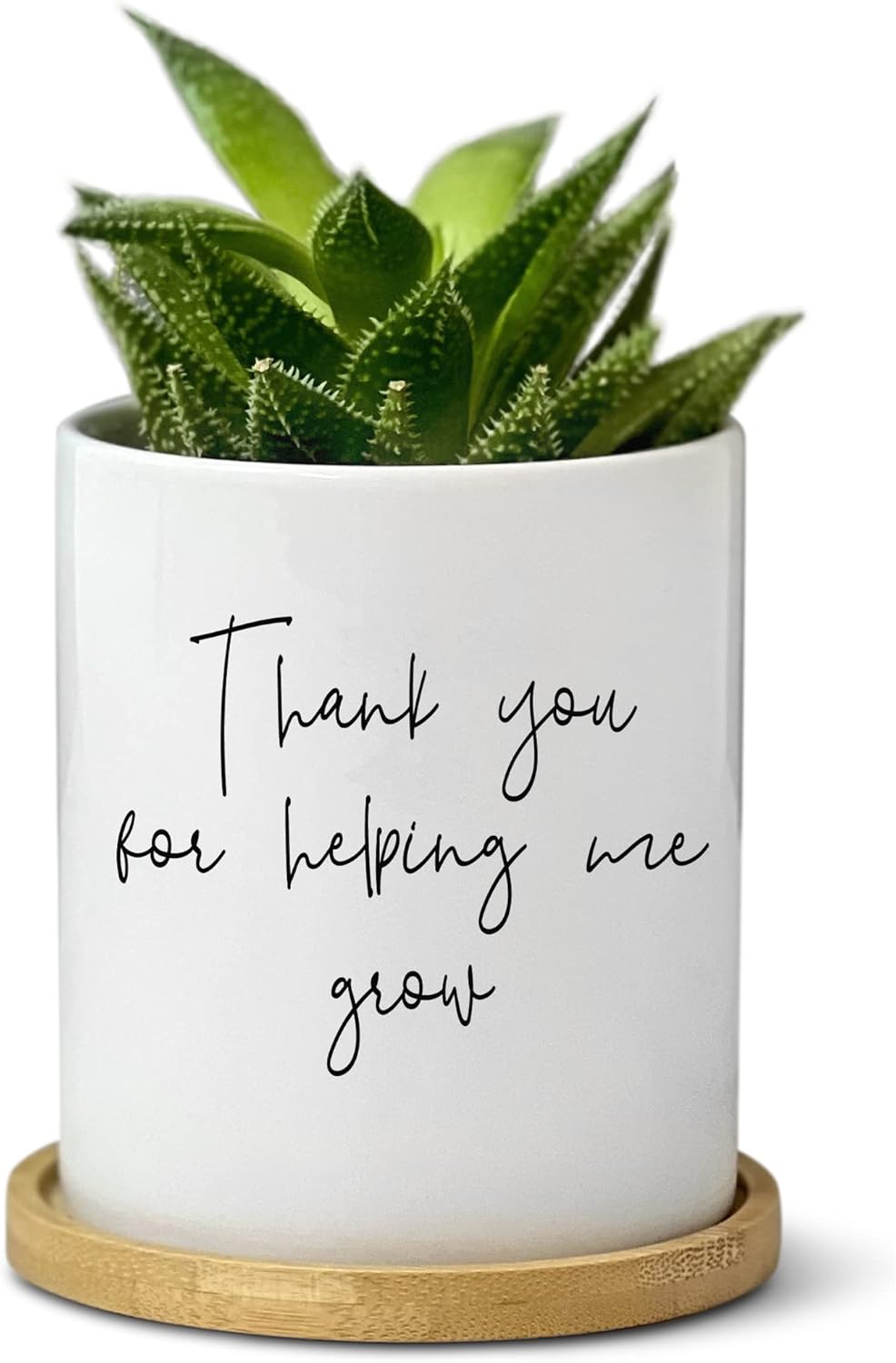 PINE AND PINEAPPLE Teacher Appreciation Gift, Thank You for Helping Me Grow Planter, Present for Mentor, Coach, Mom, Grandma Flower Pot, Minimalist Decor