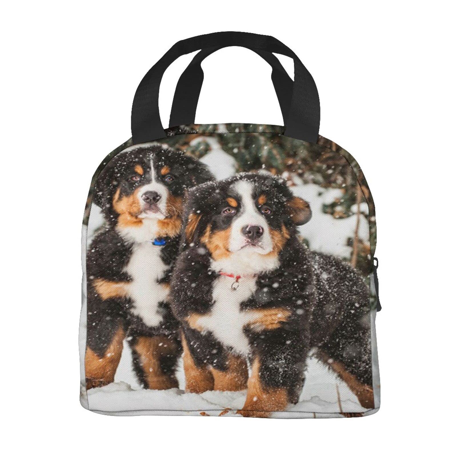 Bernese mountain dog tote bag - België