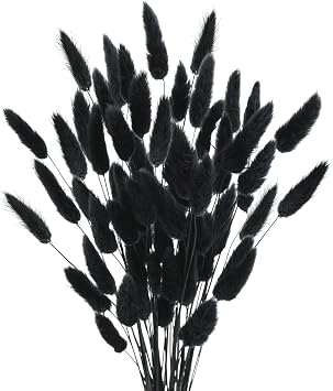 Uieke 17 Natural Bunny Tails Dried Flowers, 50 Pcs Dried Lagurus Ovatus, Dried Black Pampas Grass Decor for Farmhouse Flower Arrangements Wedding Home Craft Boho Party Decorations