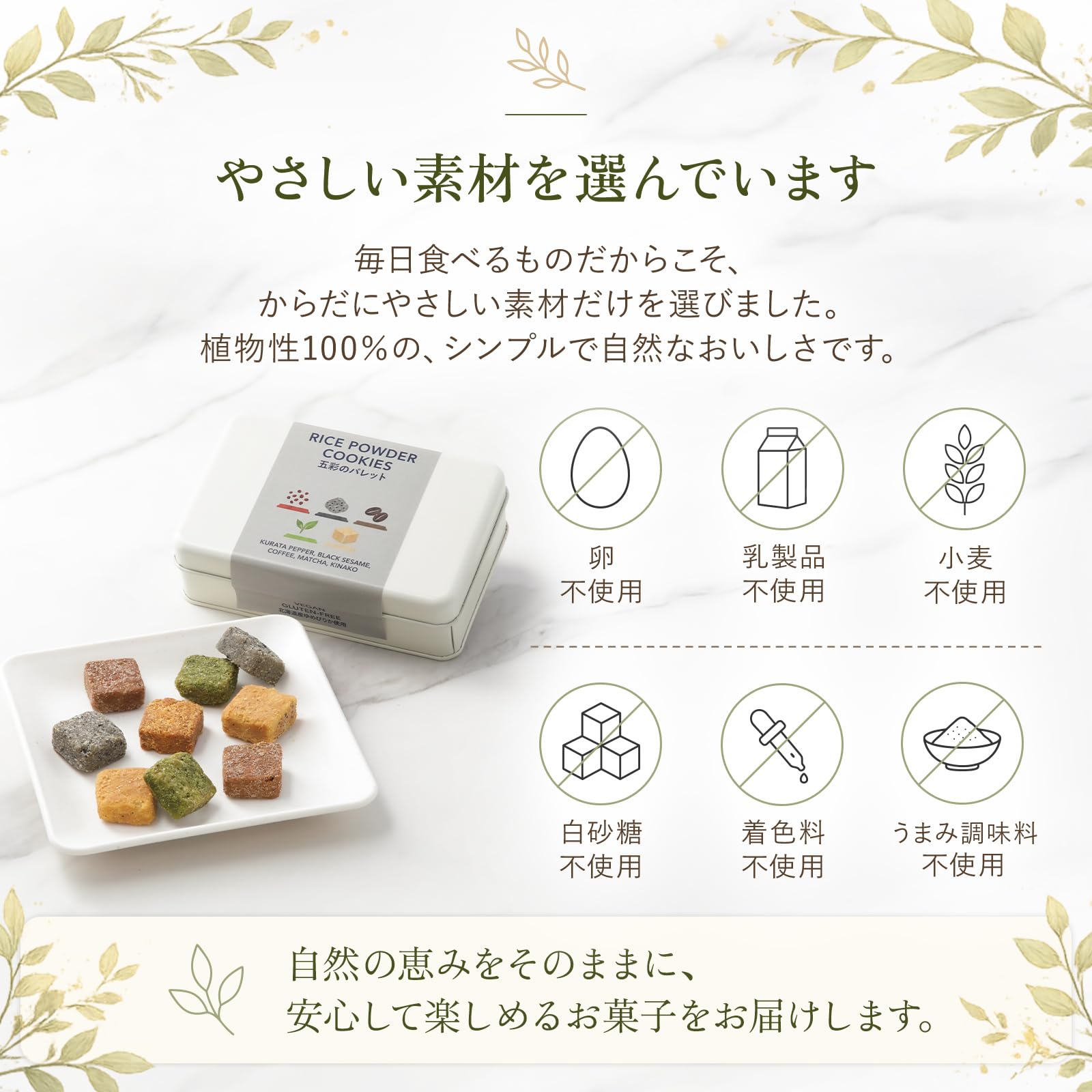 Amazon.co.jp: ヴィーガン 米粉クッキー 缶 グルテンフリー 詰め合わせ