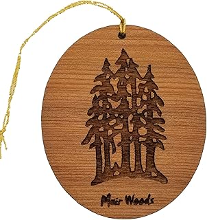 Muir Woods Ornament - National Park Souvenir - Christmas Ornament - Handmade