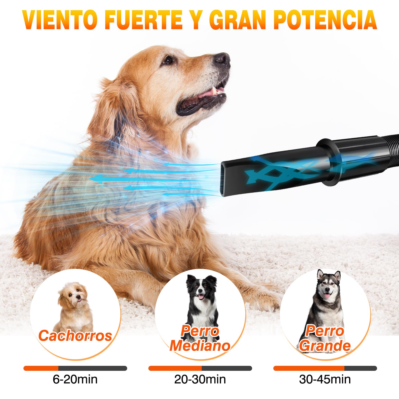 2800W secador de pelo de mascotas sin escalonamientos de baja velocidad de ruido de peluquería del gato secador de pelo profesional de calefacción Blaster soplador con 4 boquillas