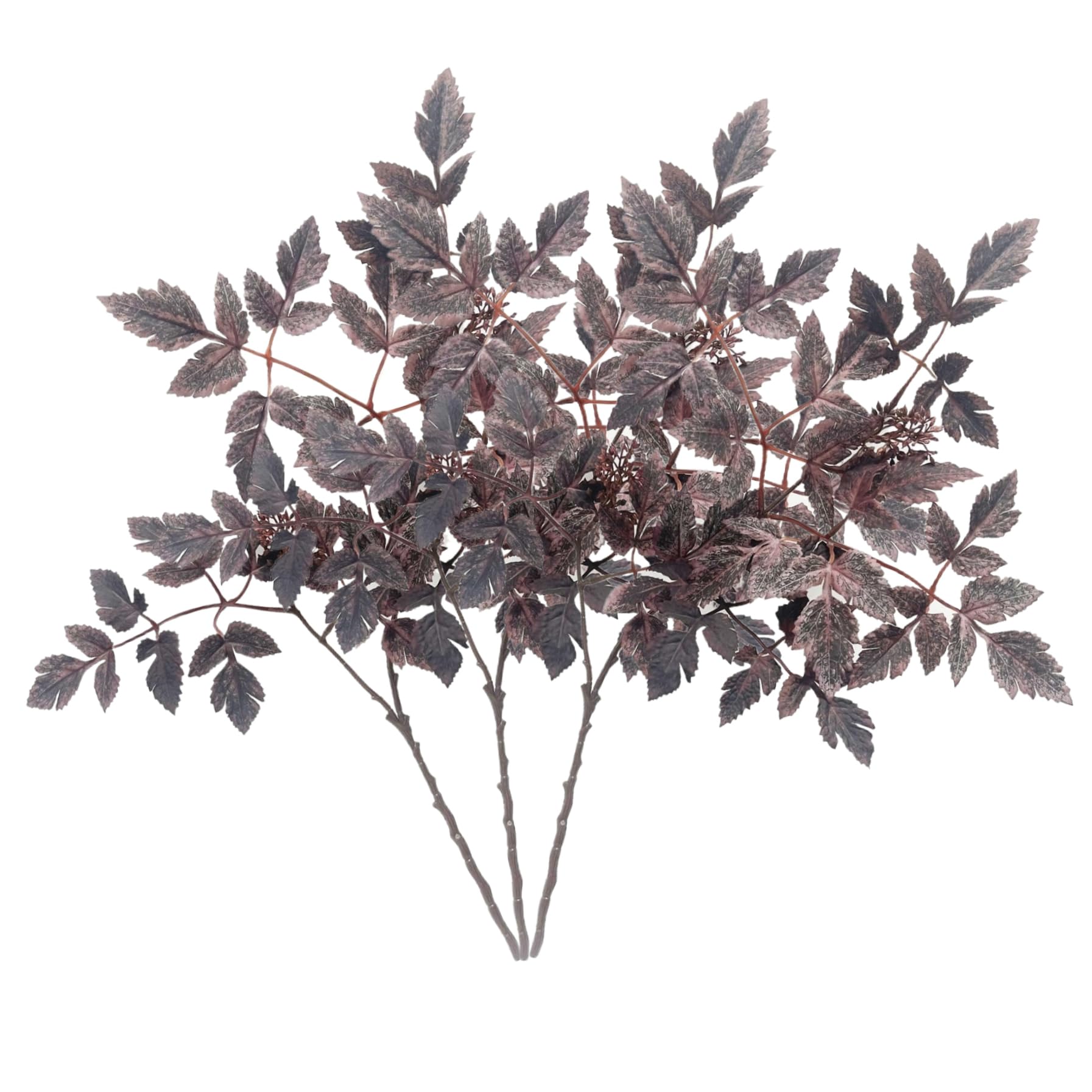 CAKEEYUM Cimicifuga Plant Leaves Cimicifuga Stems 3PCS 24 Inch Realistic Fall Floral Stems 36 Leaves and 2 Fruits Faux Branches for Halloween Vase Wedding Table Mantel Decor
