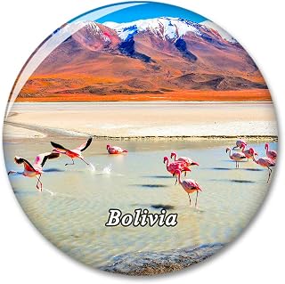 Bolivia Flamingos Lagoons Fridge Refrigerator Magnet Decorative Magnet Sticker Travel Souvenir Collection Tourist City Gift Whiteboard Kitchen