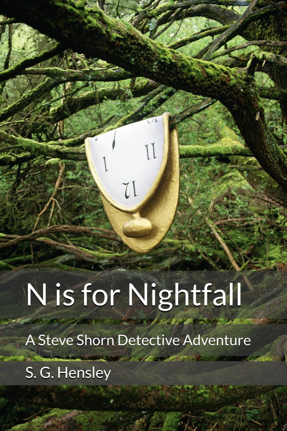 N is for Nightfall: A Steve Shorn Detective Adventure (The Steve Shorn Detective Series)