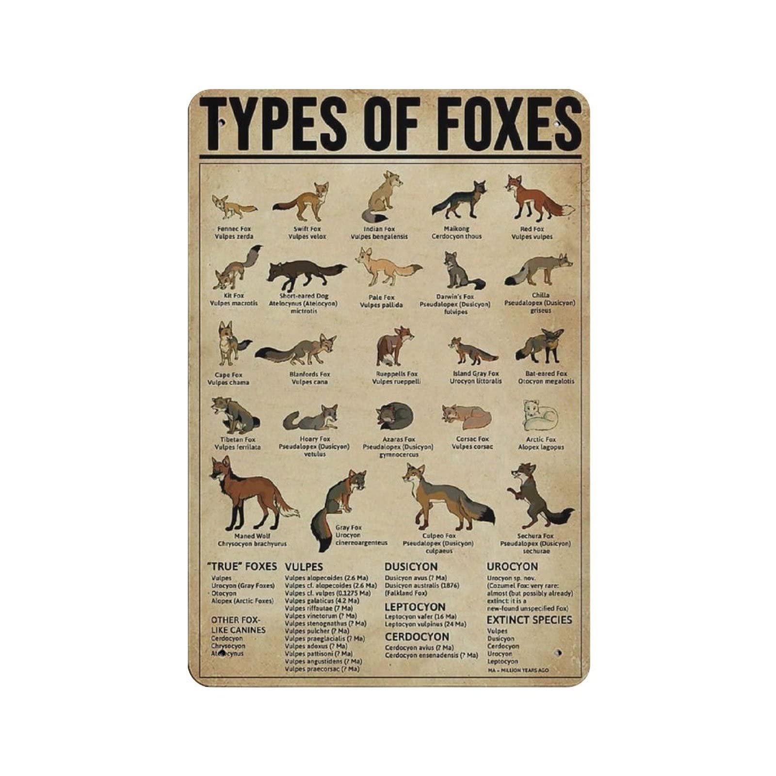 Metal Tin Sign Type Knowledge Graph of Fox Vintage Tin Poster Metal Sign Wall Decoration Country Kitchen Home Garage Decor 12"x8"