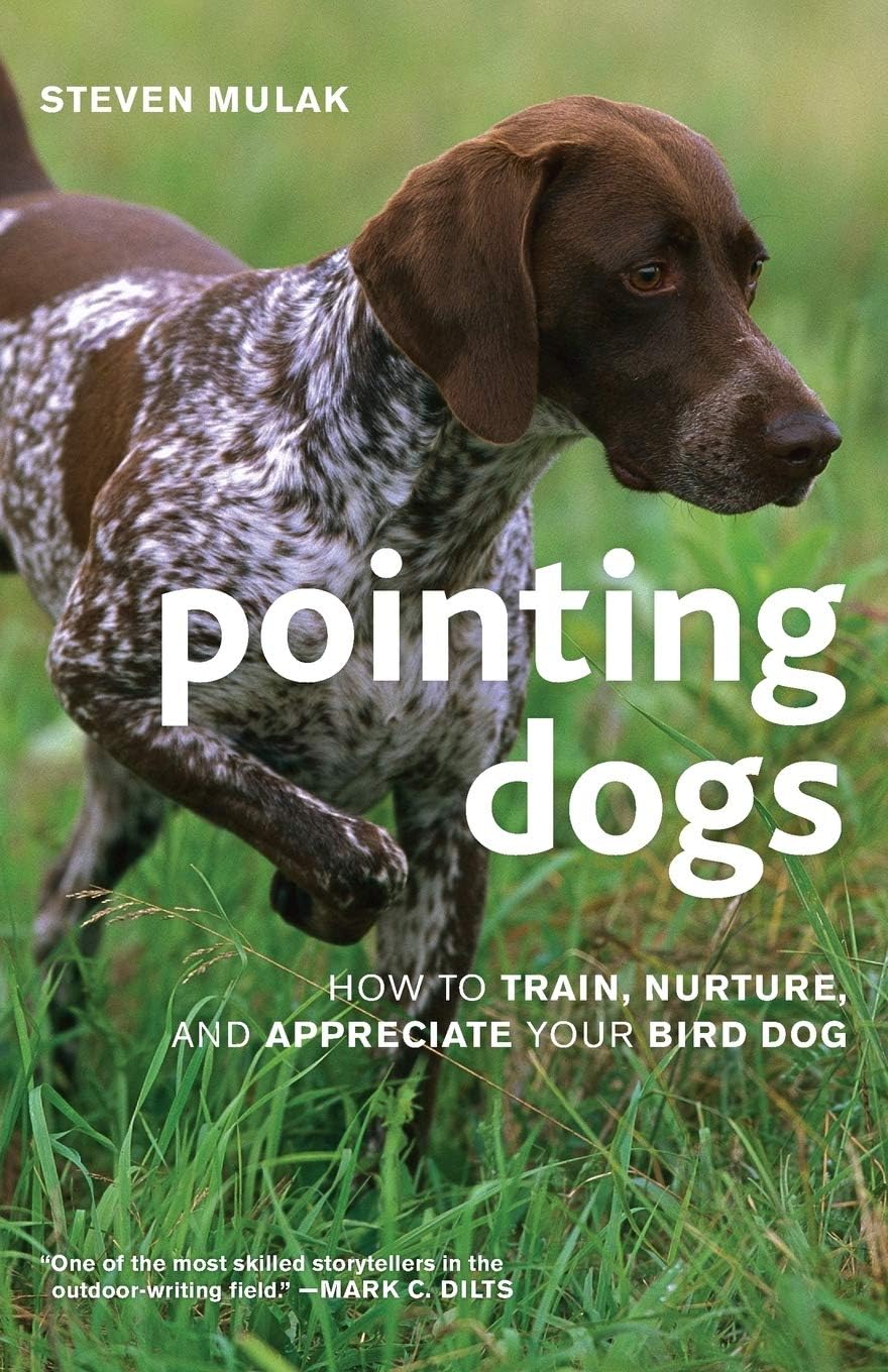 Pointing Dogs: How to Train, Nurture, and Appreciate Your Bird Dog