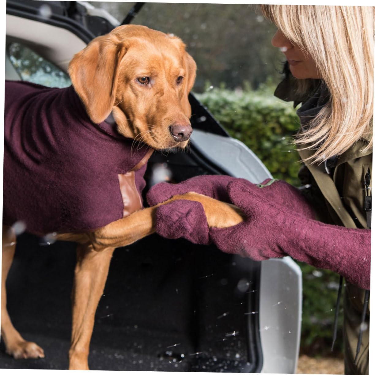 Mikikit 1 Pair Pet Care Gloves for Dog Bathing Grooming Absorbent Dog Wash Gloves Wipes for Poodle Puppy Random Color