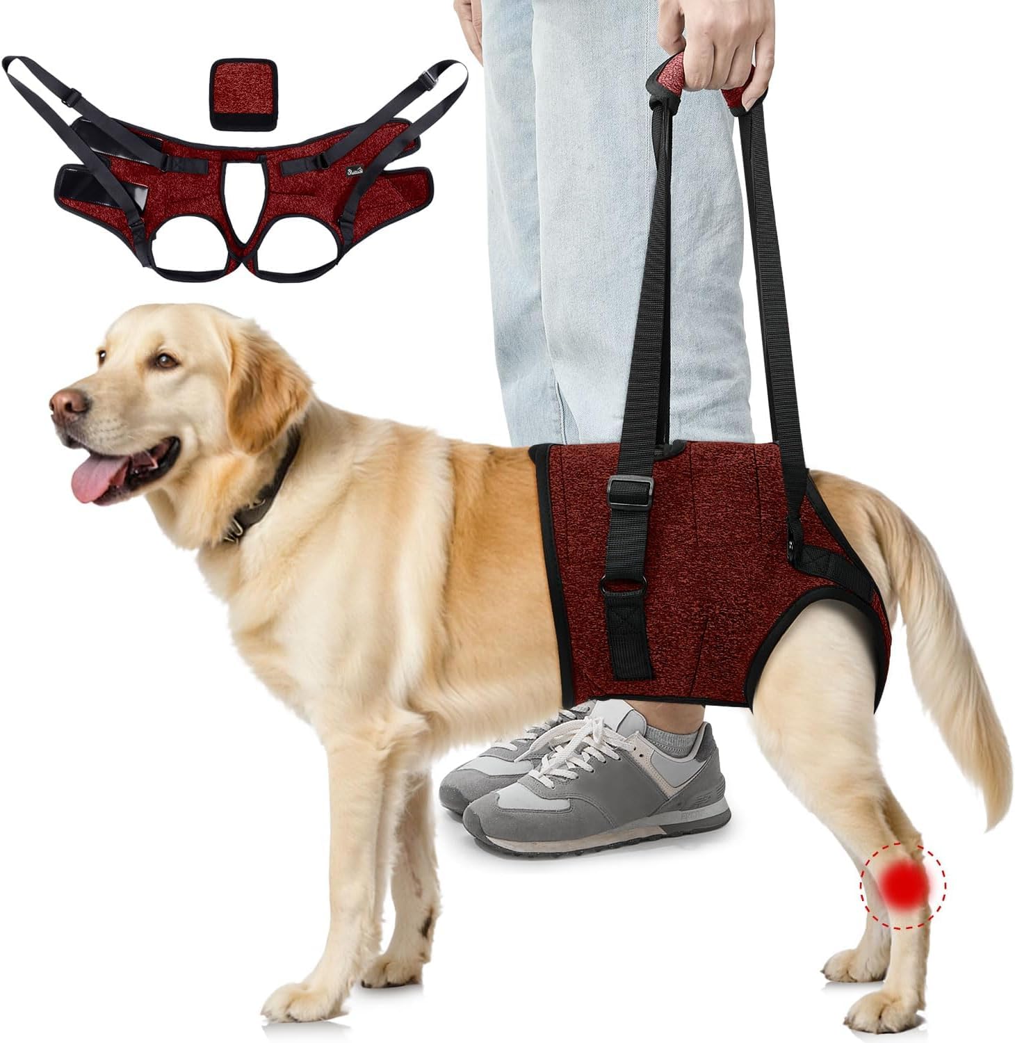 SlowTon Dog Lifting Harness - Support Slings for Back Legs with Handle, Soft Adjustable Recovery Mobility Aids for Senior, Injured, Disabled and After ACL Surgery Rehabilitation Medium Large Dogs