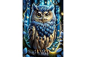5D DIY Animal Owl Diamond Art Painting Kit for Adults Beginners