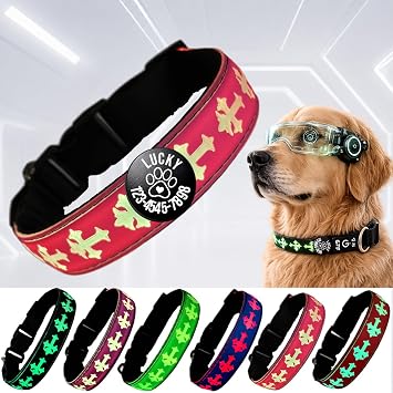 Personalized Light Up Dog Collar with Laser Engraved ID Tag, Cross Print, 15 Color Modes, USB-C Charging, Waterproof Pink, M#12.9"-16.9"