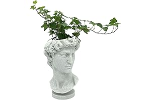 Michelangelo David Bust Planter for Gardens Interiors