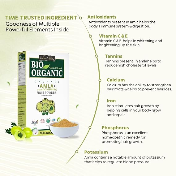 INDUS VALLEY Bio Organic 100% Natural Amla Indian Gooseberry Fruit Powder for Hair Growth, Skin, Indian Gooseberry | Non-GMO | Non-Irradiated | No-Preservatives, 0.22 oz