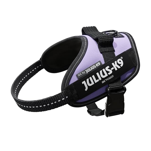 Arnés IDC Power, Tamaño: XS/Mini-Mini, Morado