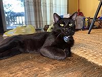 Review Image by Merima Taso Merima Taso