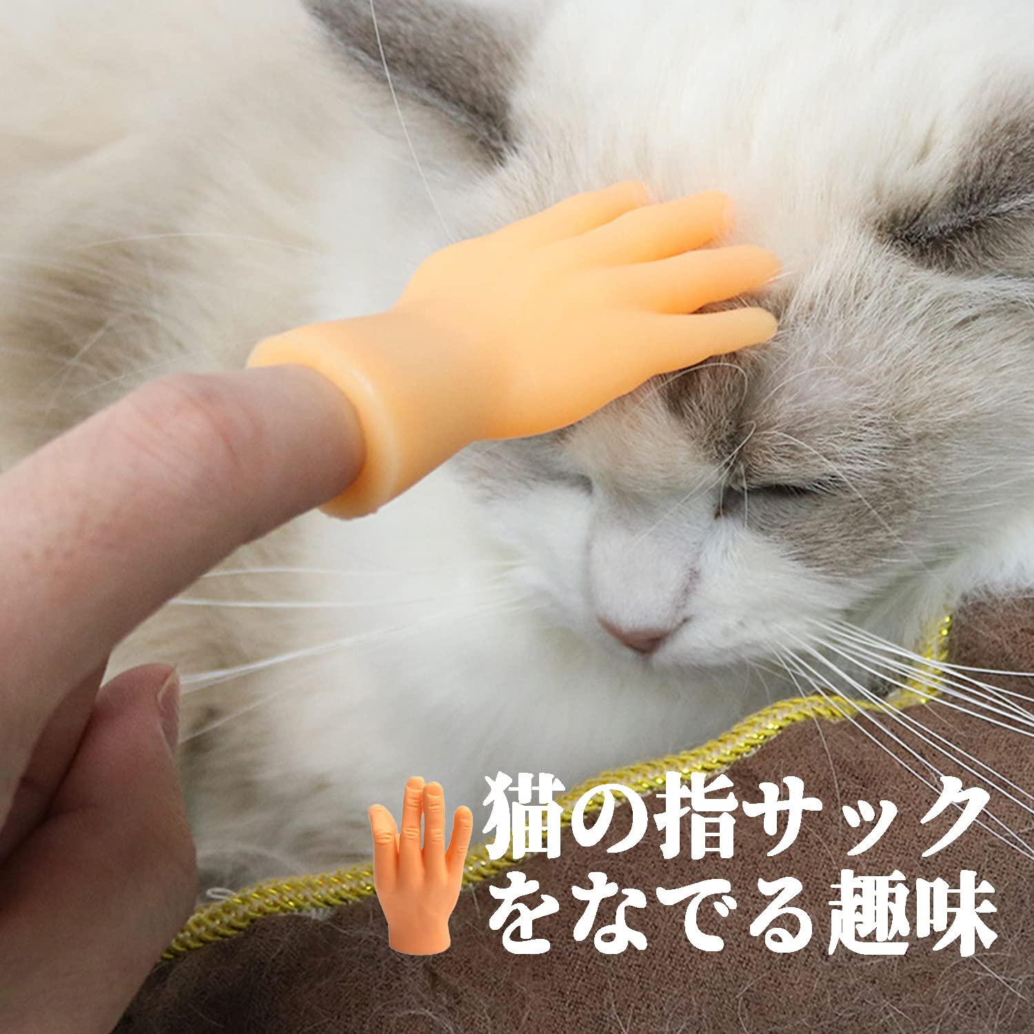 Amazon | 指人形 ミニ指 撫でる指サック 猫じゃらし猫のおもちゃ 犬用 